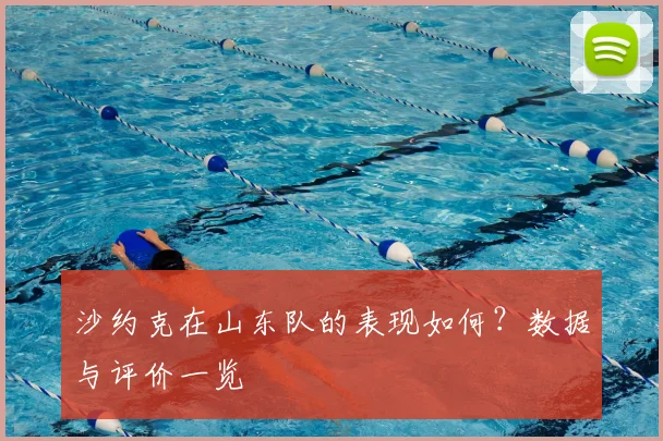 沙约克在山东队的表现如何？数据与评价一览