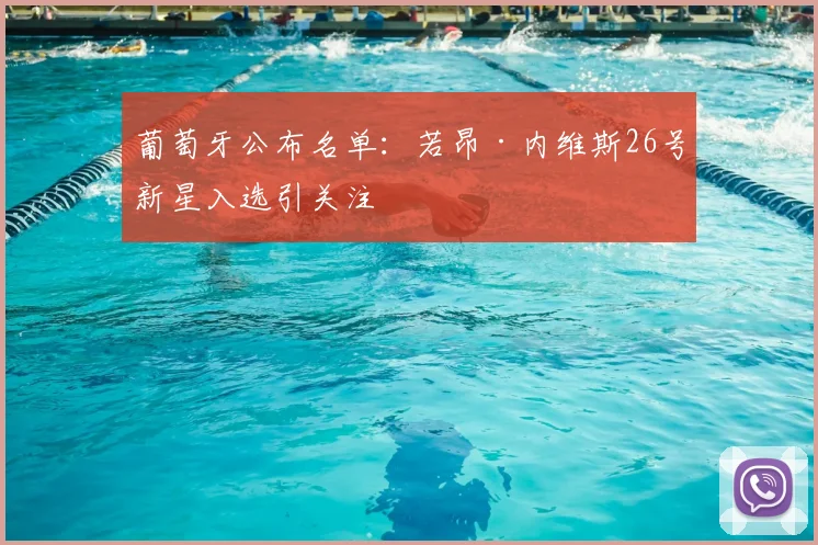 葡萄牙公布名单：若昂·内维斯26号新星入选引关注